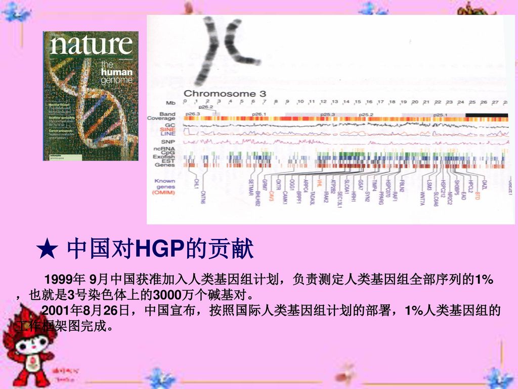 第二节 人类基因组 the human genome 许冰莹,昆明医科大学法医